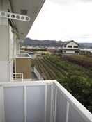  和歌山線/下井阪駅 徒歩31分 2階 築20年