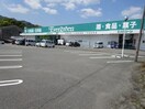 エバグリーン 海南店様(スーパー)まで2035m 一戸建5944