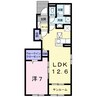 ヴェールⅡ 1LDKの間取り