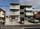 baffi di gattoの外観