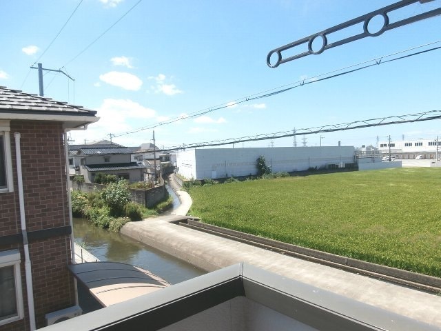  ピノ コラ