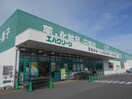 エバグリーン 御坊店様(スーパー)まで1236m サンリット　Ⅰ