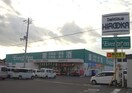 エバグリーン 吉備店様(ドラッグストア)まで1967m きのくに線・紀勢本線/藤並駅 徒歩28分 1階 築12年