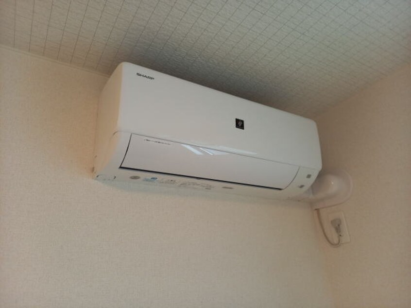 同仕様 ソレアード・ポールⅡ