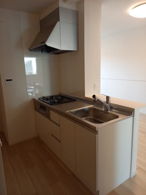 同仕様 ソレアード・ポールⅡ