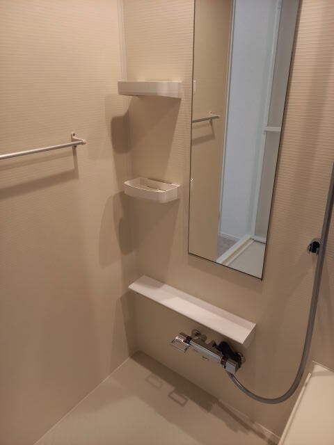 同仕様 ソレアード・ポールⅡ