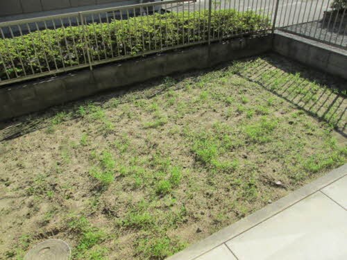 庭 きのくに線・紀勢本線/藤並駅 徒歩20分 1階 築24年