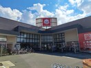 ココカラファイン湯浅店様(ドラッグストア)まで1271m ヴィラ湯浅Ｂ棟