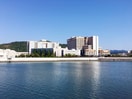 和歌山県立医科大学紀三井寺キャンパス様(大学/短大/専門学校)まで1955m タウニィアミ