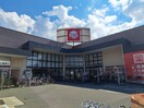 マツゲン湯浅店様(スーパー)まで1031m COTE DE ORANGE