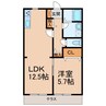 フレグランス大宮 1LDKの間取り