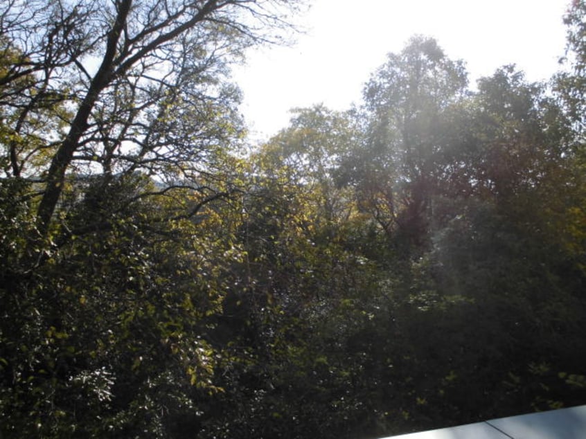  エクストリーム西小二里