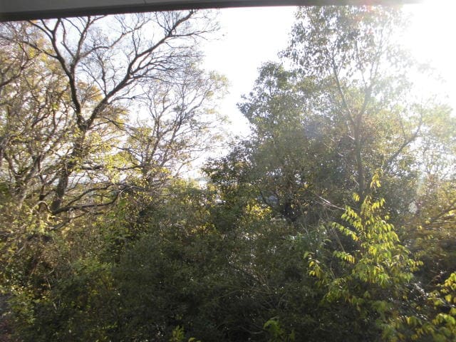  エクストリーム西小二里