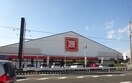 （株）松源 箕島店(スーパー)まで699m グレイス箕島