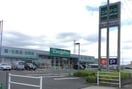 エバグリーン和佐店(スーパー)まで639m シャーメゾン笠松