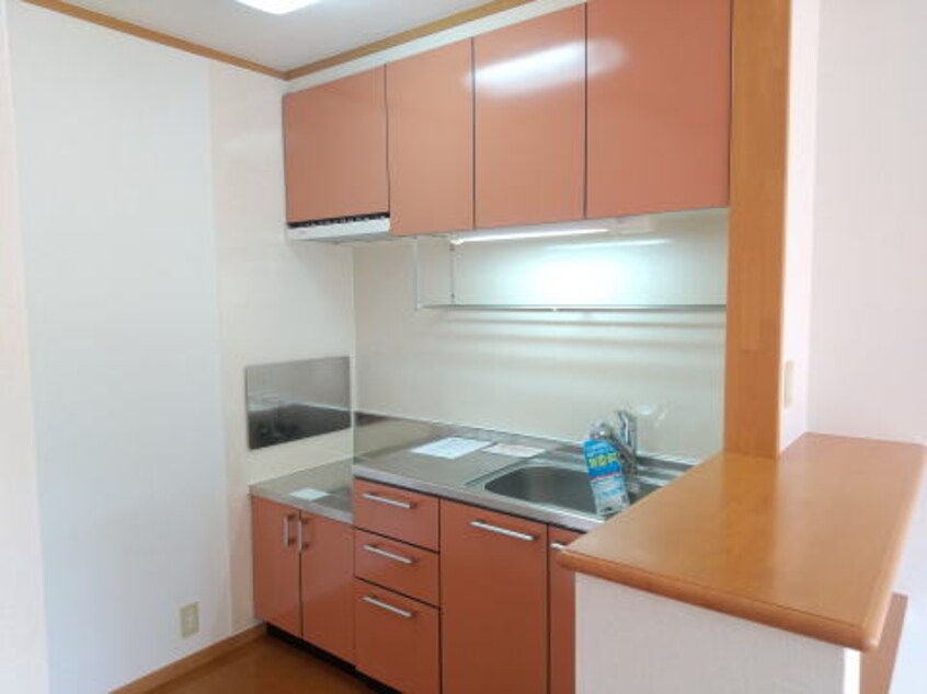 同仕様 グランデ・フォルテ　Ⅲ