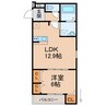 フジパレス畑屋敷 1LDKの間取り