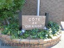  COTE DE ORANGE