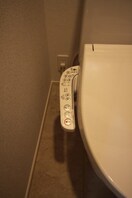 同仕様 クレメント紀州