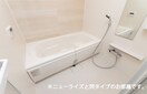 同仕様 クレメント紀州