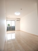 同仕様 フライハイト