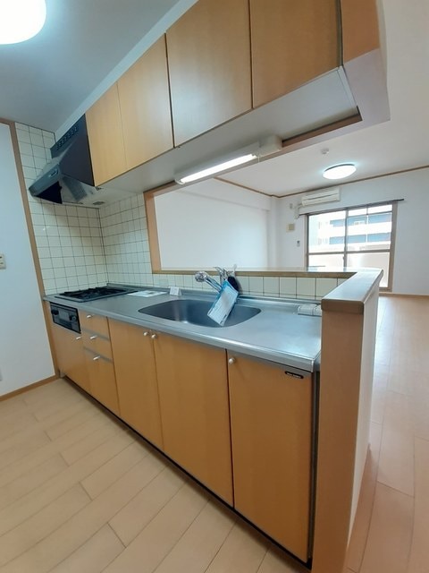 同仕様 ポルトーネ