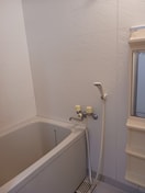 同仕様 セレニティ