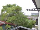  ディアス小雑賀