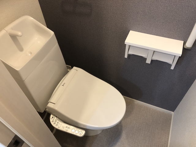 同仕様 カルムメゾンⅡ