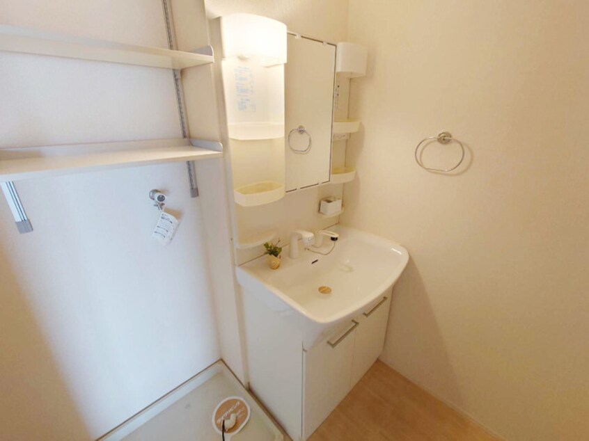  イソラ フェリジェ