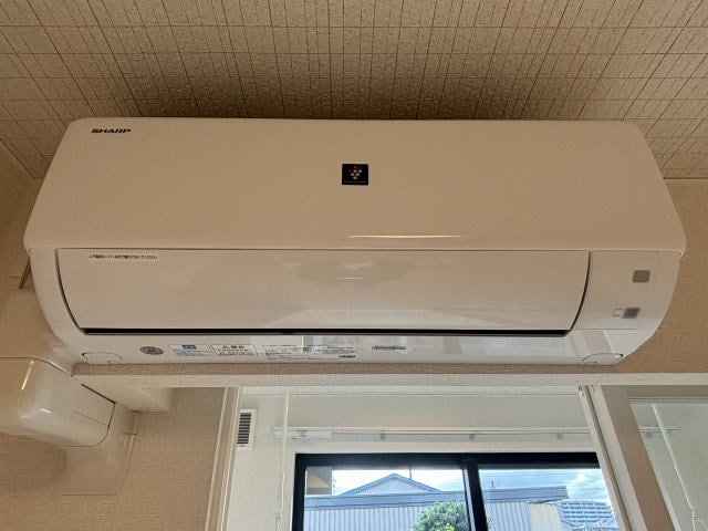 同仕様 レッド　スイートピーⅠ