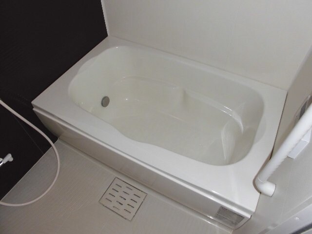  モイス・シャームⅡ