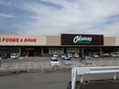 オークワ岩出西店様(スーパー)まで1814m エルディムⅡ