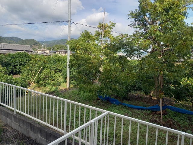  ディアス赤坂