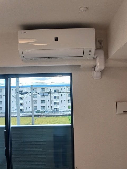  レッド　スイートピーⅡ