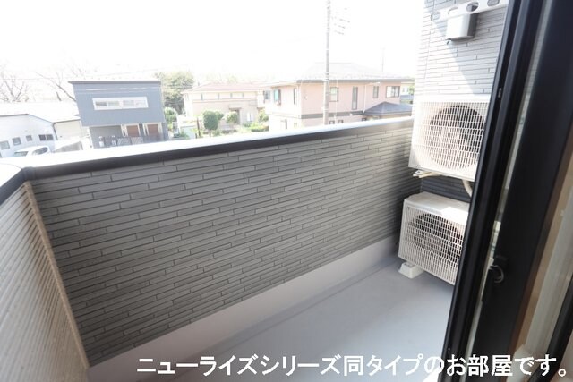  レッド　スイートピーⅡ