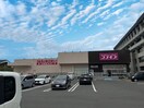ドラッグストアコスモス 箕島店様(ドラッグストア)まで895m きのくに線・紀勢本線/箕島駅 徒歩9分 1階 築8年