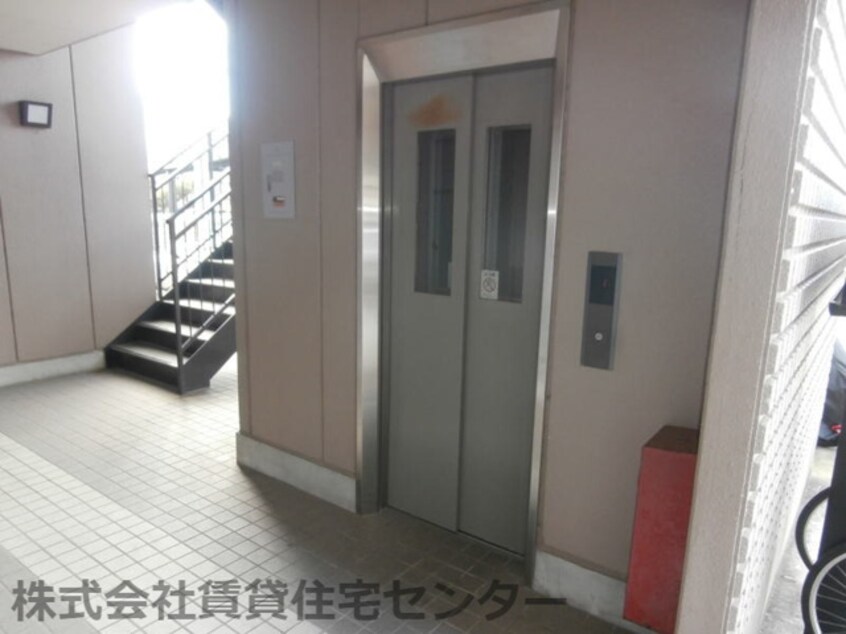  ファシナシオン毛見Ⅱ