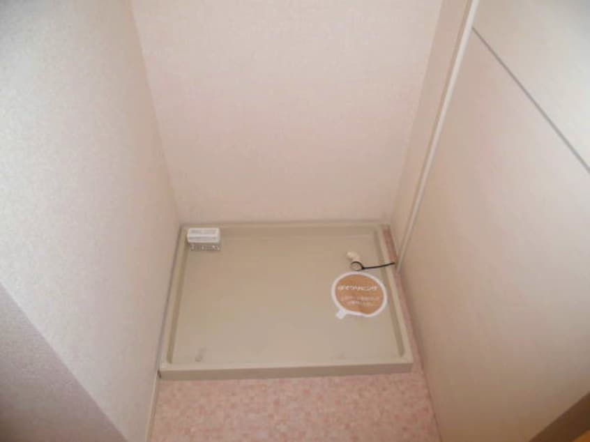  ウィット塩屋
