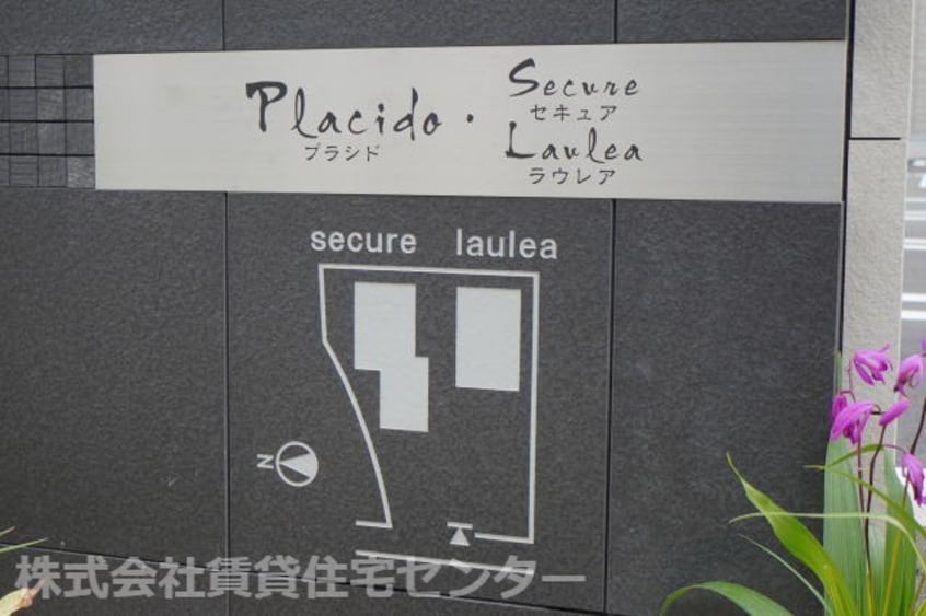  プラシド・セキュア