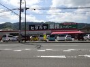 ヒダカヤ＆業務スーパー海南店様(スーパー)まで1164m きのくに線・紀勢本線/海南駅 徒歩7分 1階 築2年