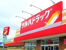 ツルハドラッグ　和歌山中島店様(ドラッグストア)まで1123m ル・フィオーレ