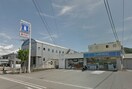 ローソン Ｓ箕島店(コンビニ)まで942m ハイツポーラリス