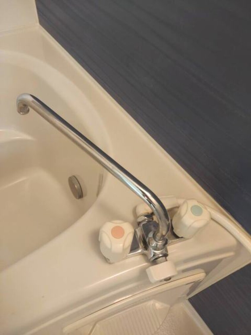 同仕様 スカイリーフ