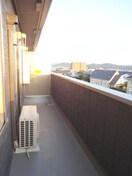 同仕様 Luxe Labague