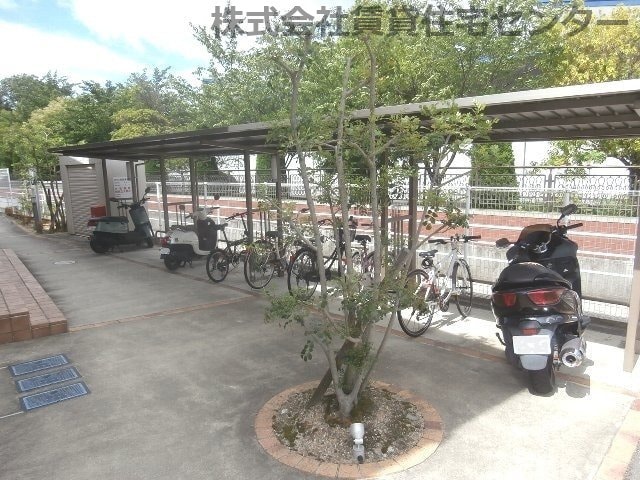  ルーチェモルト