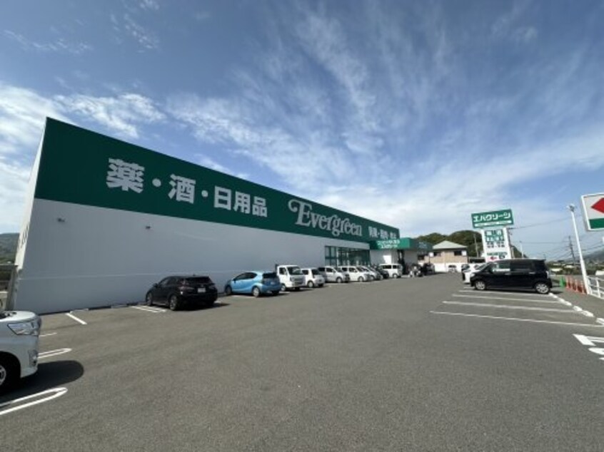 エバグリーン徳田店様(ディスカウントショップ)まで616m ソレイユ アビタシオン
