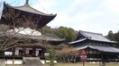 根来寺様まで1711m メゾンシルキー