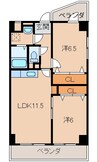 コレーオス堀止 2LDKの間取り