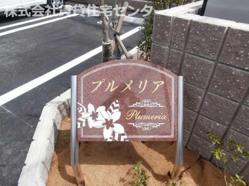  プルメリア
